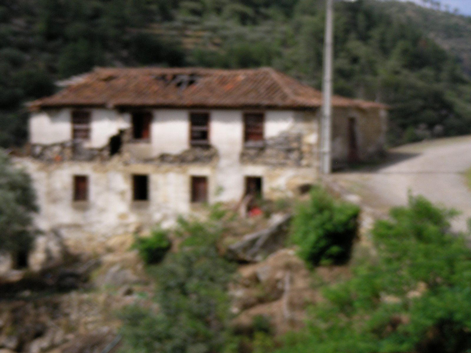 [SANY0579.JPG]