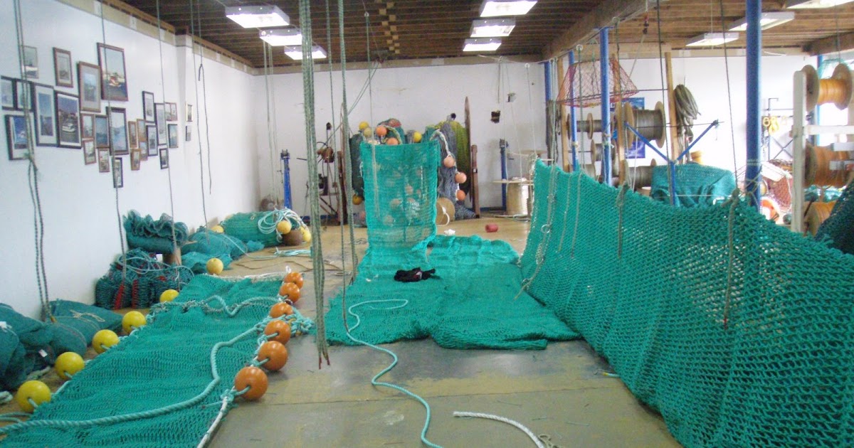 Inside the Atlantic Cod Fishery How to make a shrimp trawl nets and
