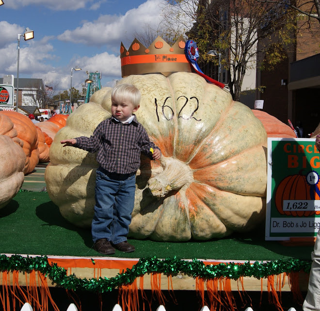 Pumpkin Show