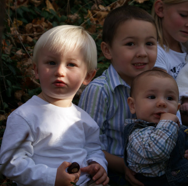 The Boys