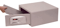 electronic safe for computer