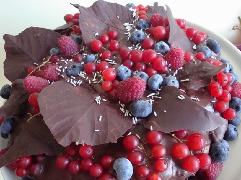 [ultimate+shoklade.JPG]