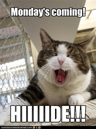 Monday Is Coming