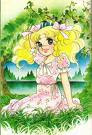 candy candy