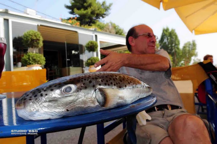 [EV_ARGOLIDA_KIOS_PIASTIKE_LAGOPSARO_TOXIKO_NAUPLIO5.jpg]