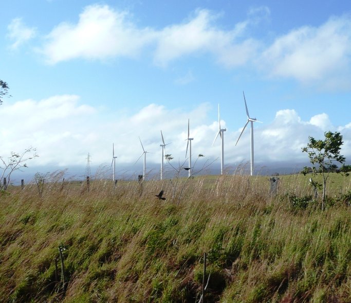 Rivas WInd Project--several of 22 said to produce 14% of Nicaragua's power.
