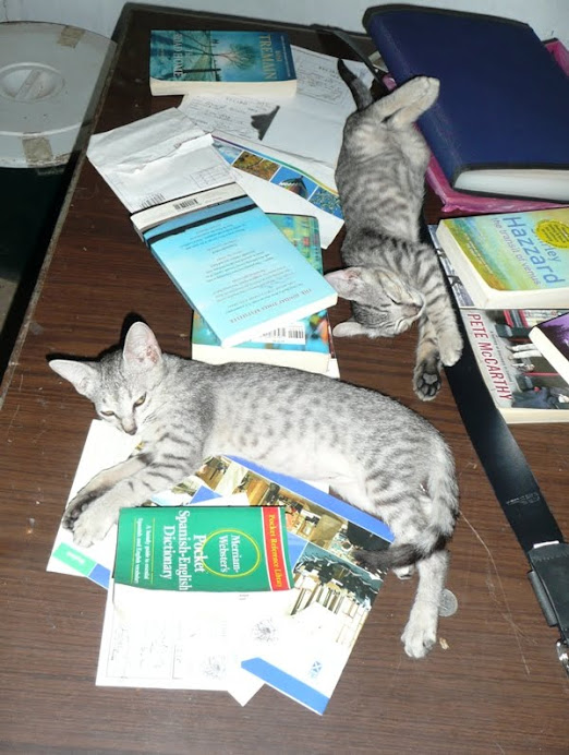 Leo & Luna, booklovers