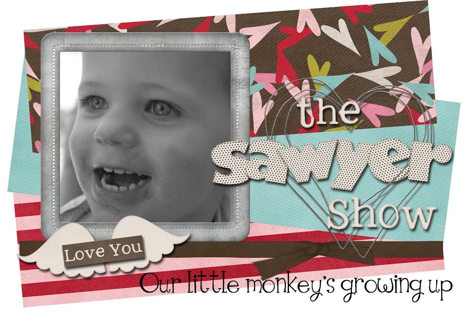The Sawyer Show