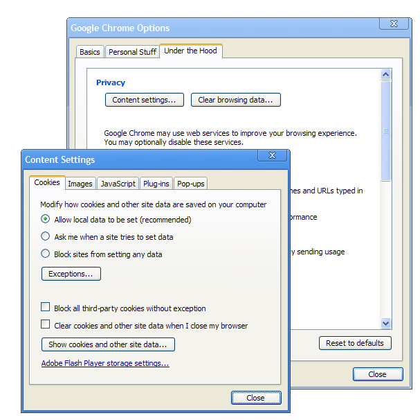[GoogleChrome-PrivacyOptions.png]