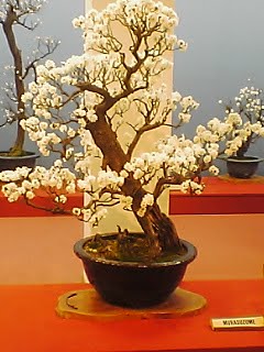 [100130_1257~01.JPG]