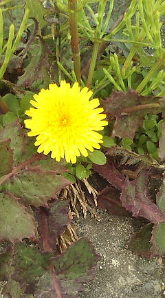 [200903121033.jpg]