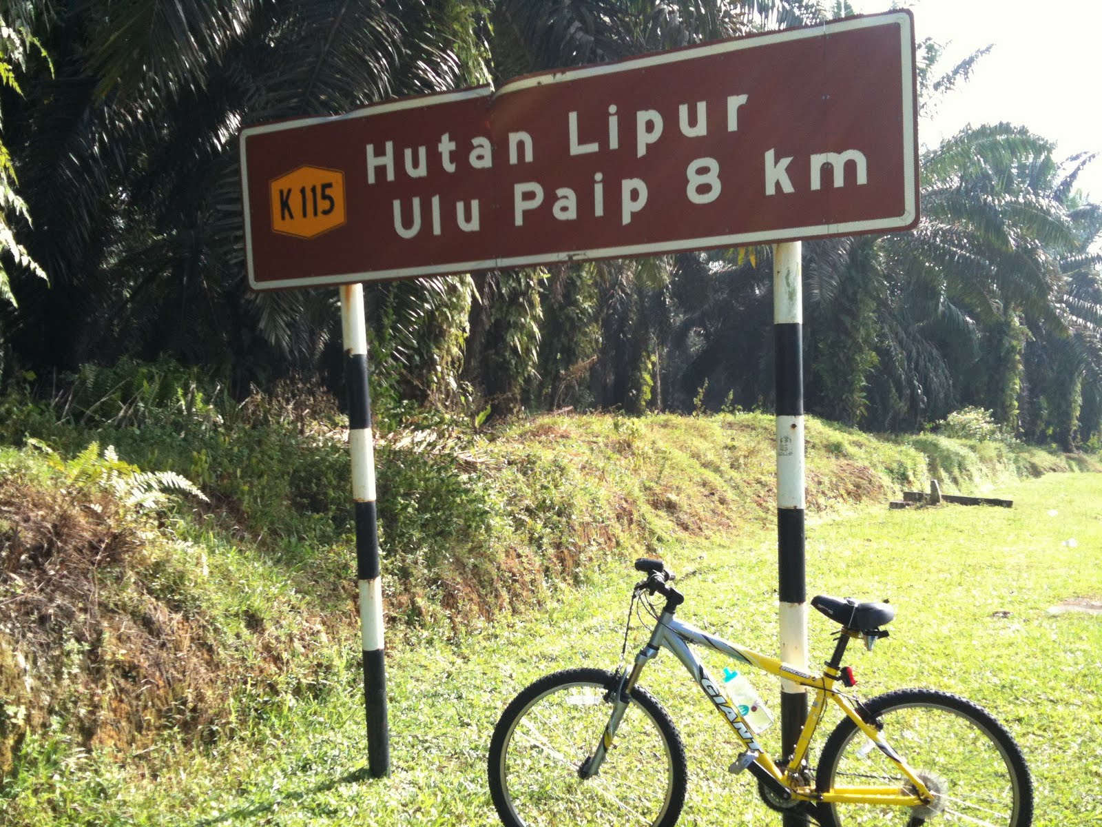 Ulu Paip