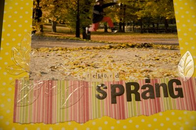 [rekordsprangnarbild.jpg]