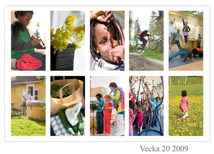 [vecka20lm.jpg]