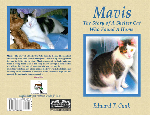Mavis - The Story Of A Shelter Cat Who Found A Home