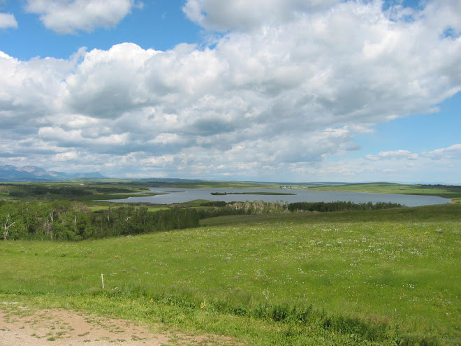 Central Alberta