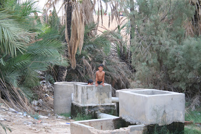 Juegos en el palmeral de Nefta