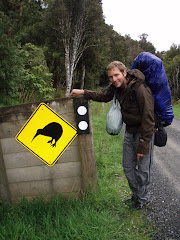 A la chasse au kiwi