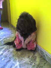 Mi perro Blacky