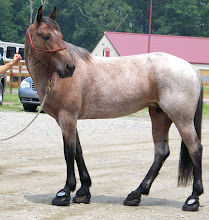 Soft Ride Boots!