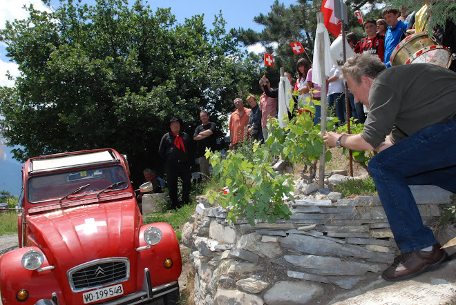 Belle attache de la "Deux pattes" avec son mentor sur la Vigne du Dalaï Lama