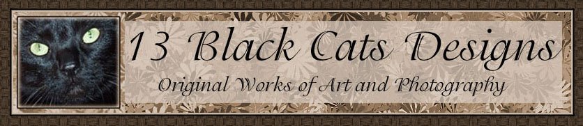 13 Black Cats Designs