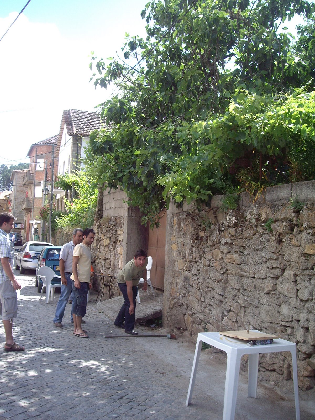 [IMGP3110.JPG]