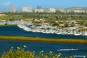 Our Office Location in Newport Beach