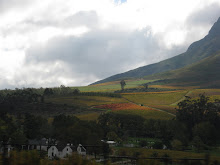 The beauty of Stellenbosch