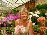 [pattyemail+sig+orchids.JPG]