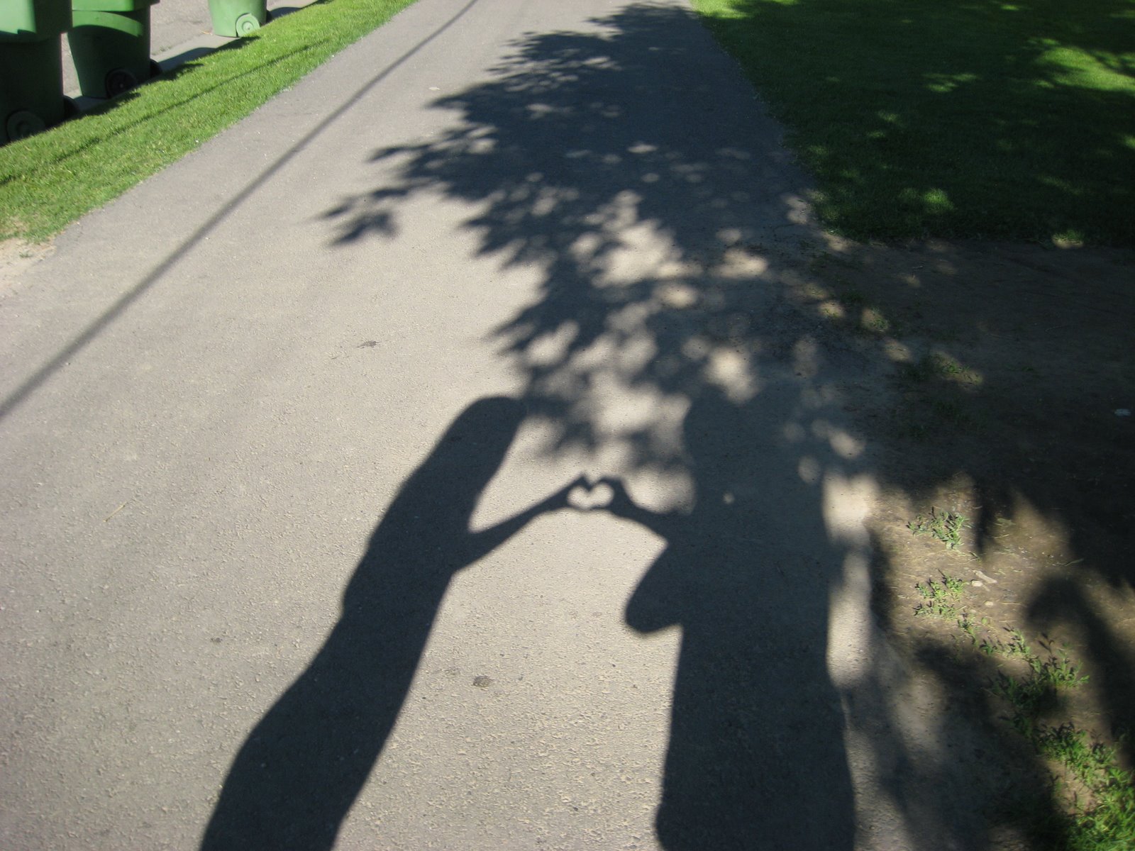 [IMG_3218.JPG]