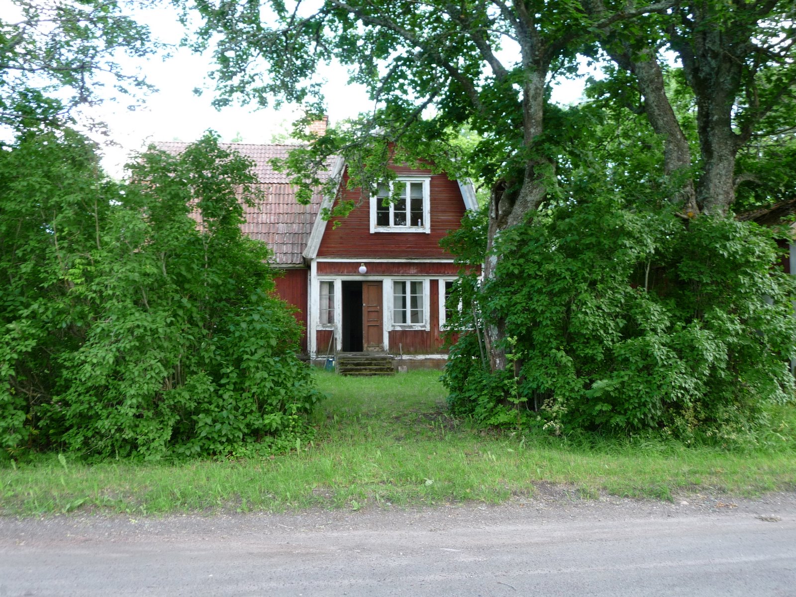 [P1000937.JPG]