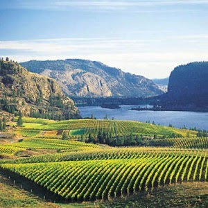 Okanagan Wine Region