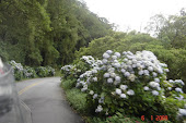 Estrada da Graciosa - Pr