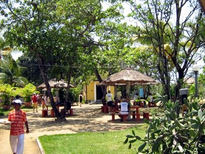 [IMG_0368.JPG]