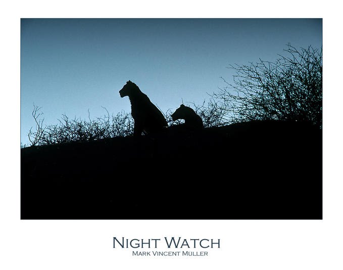 [Night+Watch.bmp]