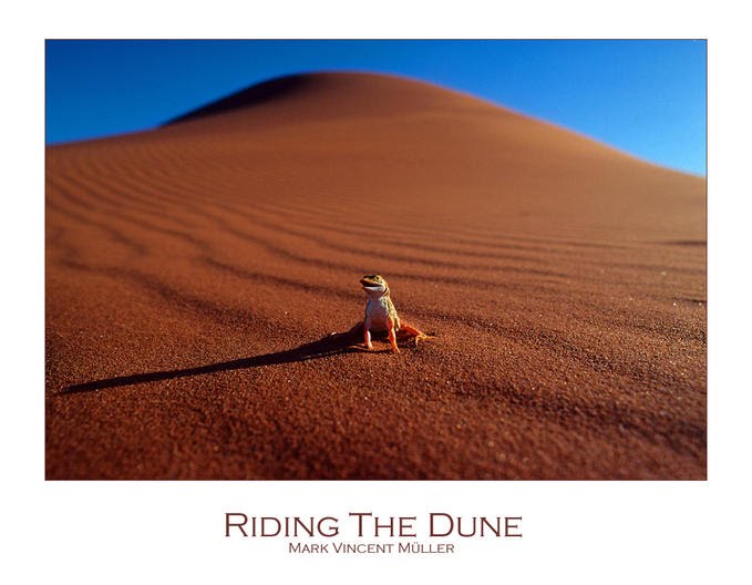 [riding+the+dune.bmp]