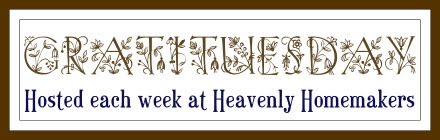 [gratituesdaynov091.jpg]