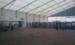 Teenagers Greenhouse