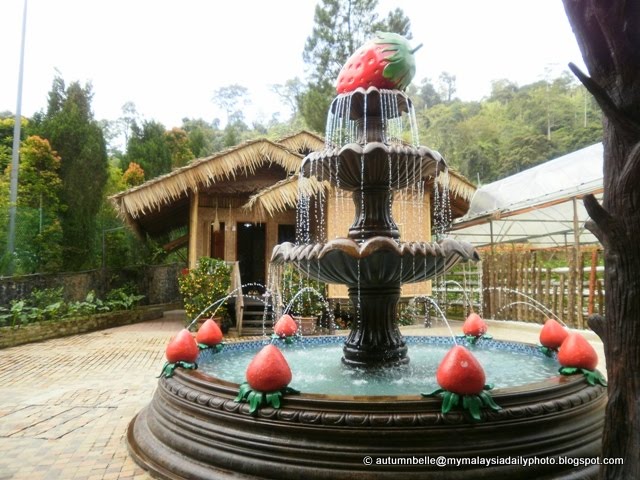 Genting Strawberry Farm
