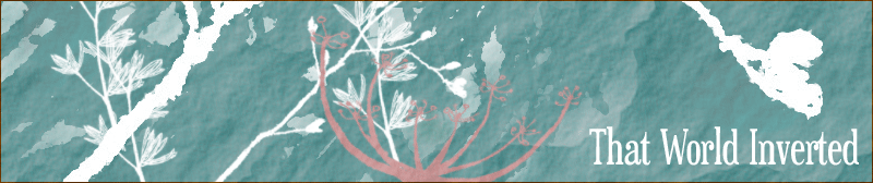 That World Inverted