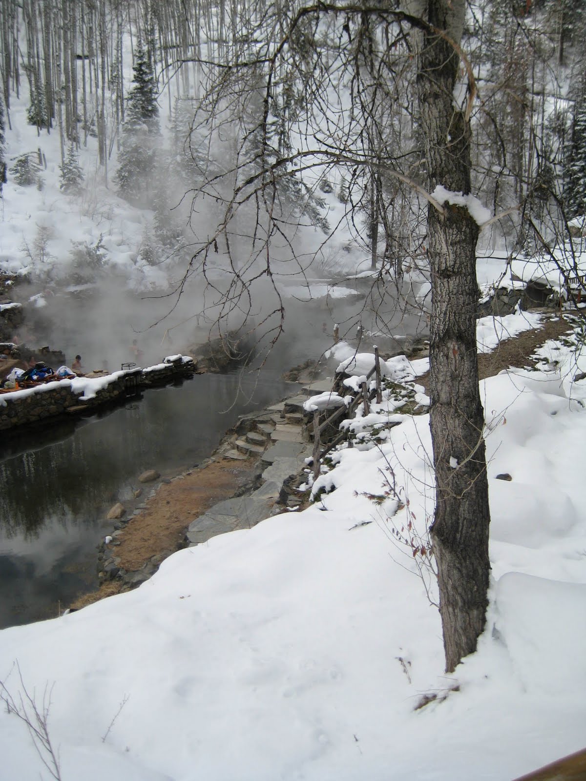[IMG_8393.jpg]