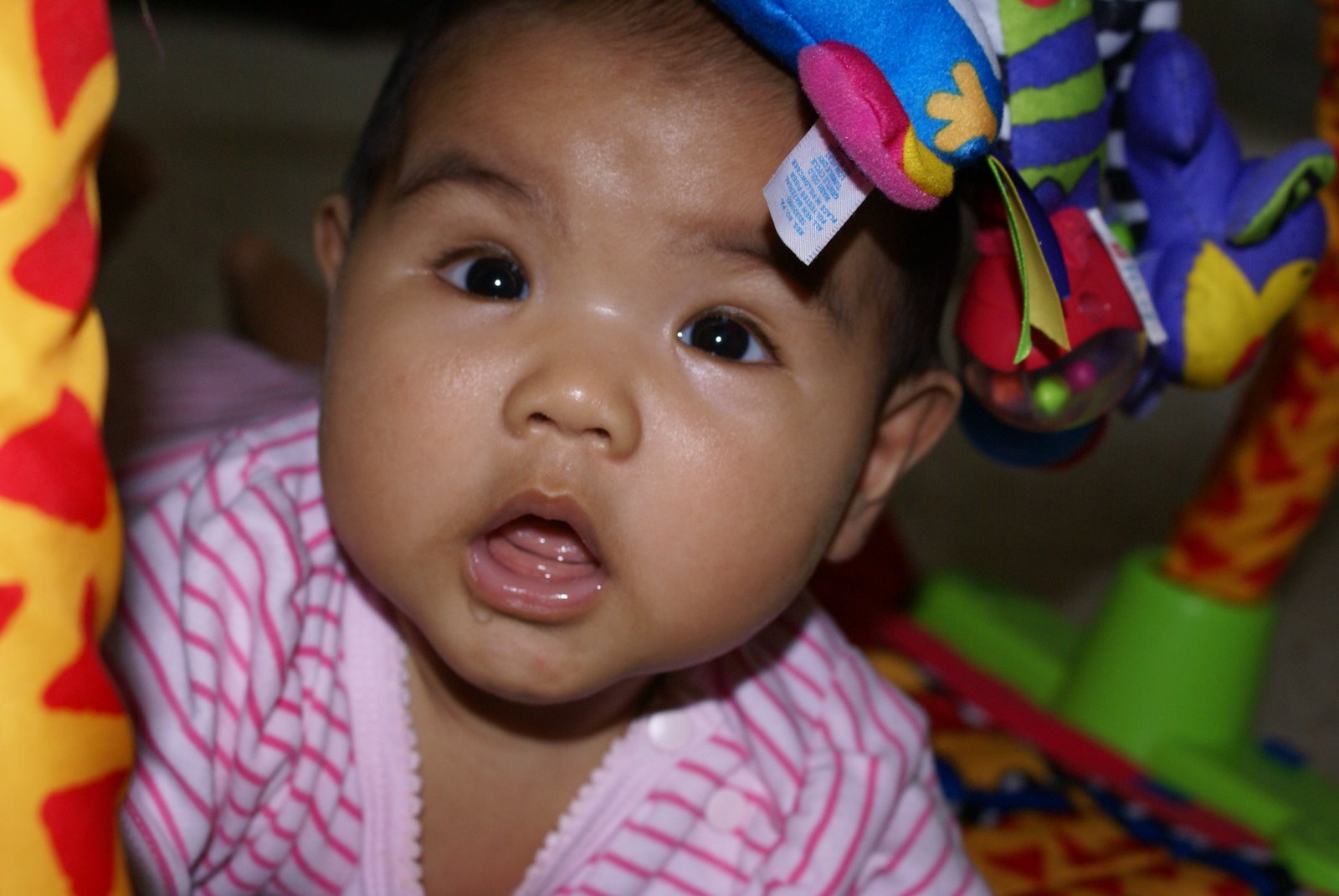 [DSC01412.JPG]