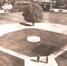 A Tree In The Infield