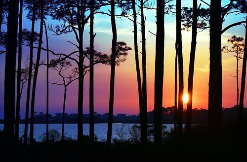 WONDERFUL world