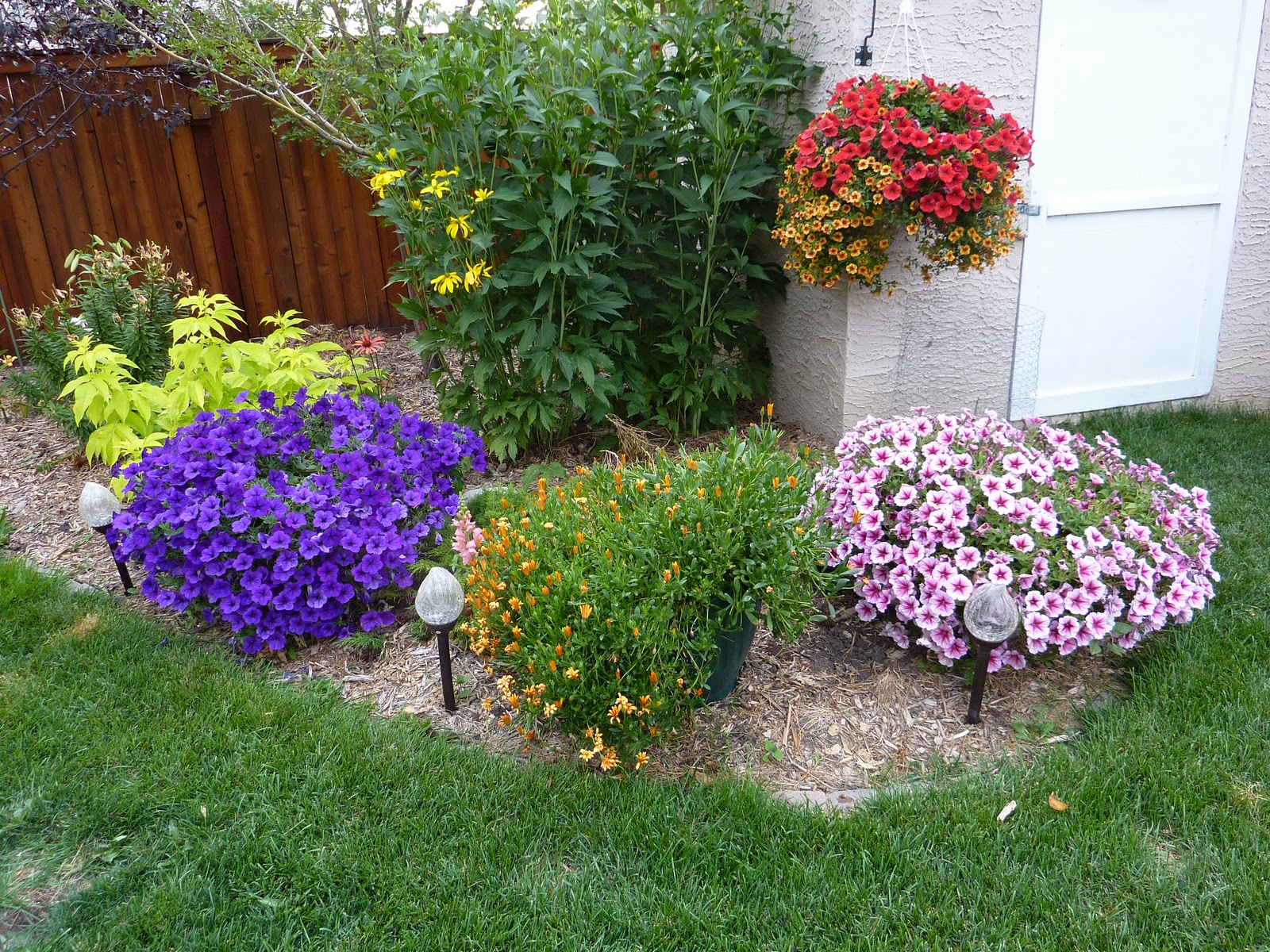 LIFE IS GOOD: THE GARDEN