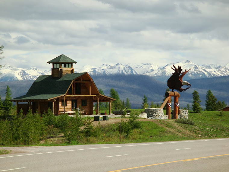 Just a Beautiful Scene Near Glacier