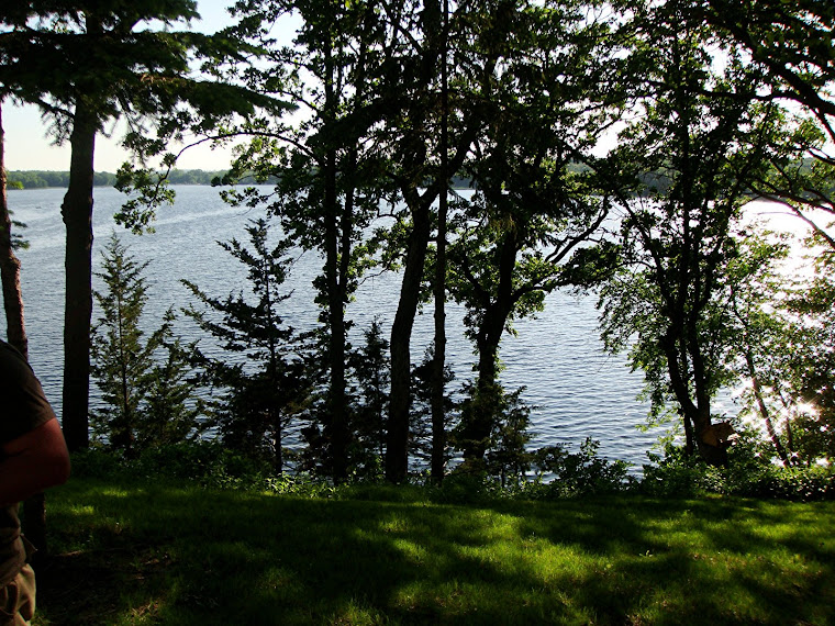 View From Terry & Lynn's House on the Lake