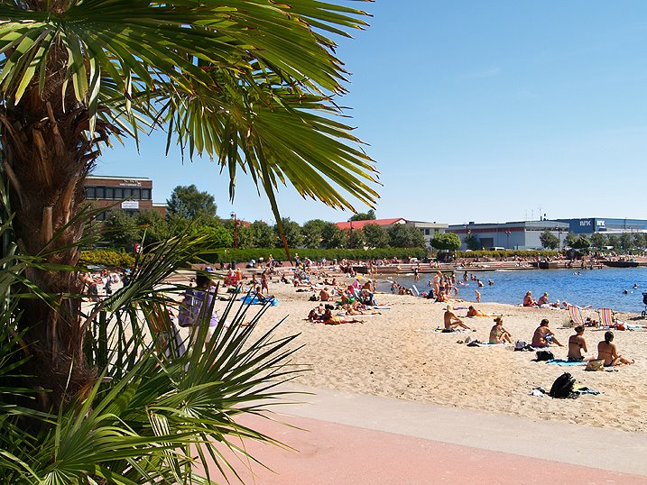 [praia4.jpg]