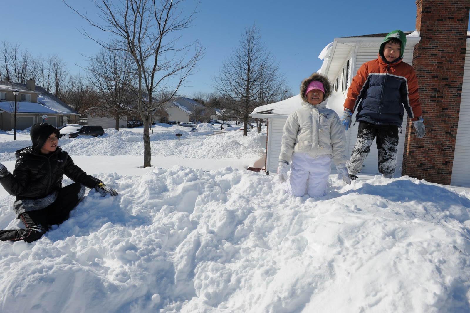 imageum Big Snow in Columbia, Mo (02.02.2011)